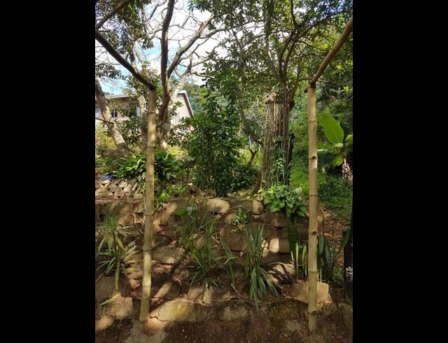 3 BEDROOM HOUSE FOR SALE IN CATALINA BAY